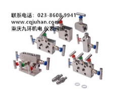 儀表閥組_一體化閥組